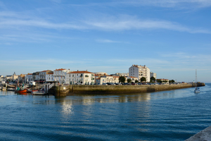 Désinsectisation dératisation Les Sables-d'Olonne